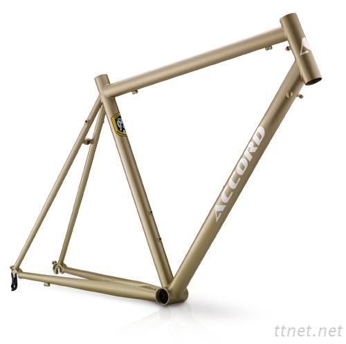 Stainless Road Frame